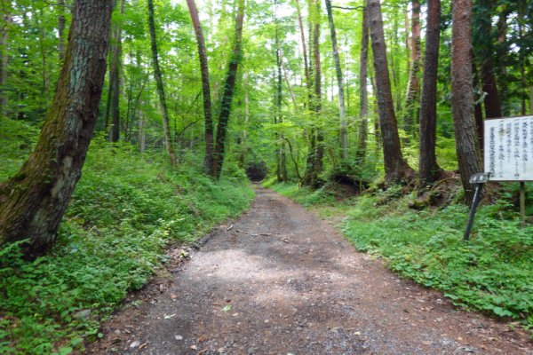 北富士演習場入り口：994m