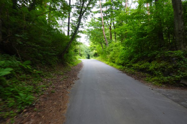 富士スバル高原別荘の南(1)：1187m