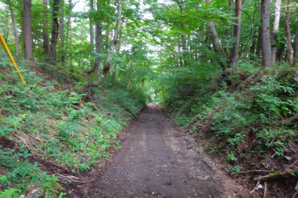 富士スバル高原別荘の南(2)：1204m