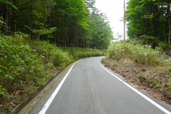 鳴沢林道(1)：1308m