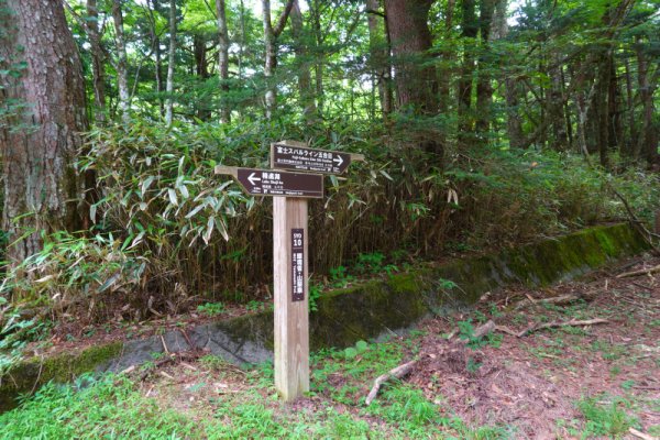 精進口登山道一合目：天神峠：1356m