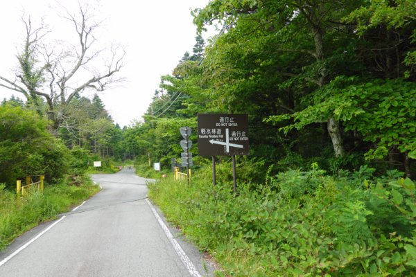 ズミの木：1379m