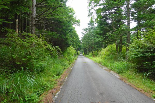 鳴沢林道(5)：1427m