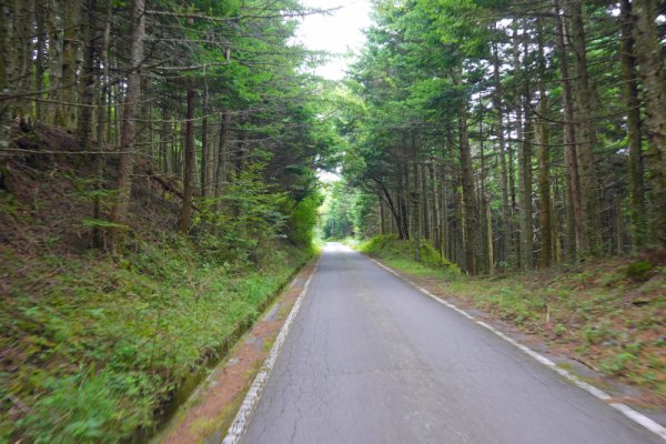 鳴沢林道(6)：1456m