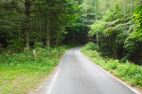鳴沢林道(7)：1496m