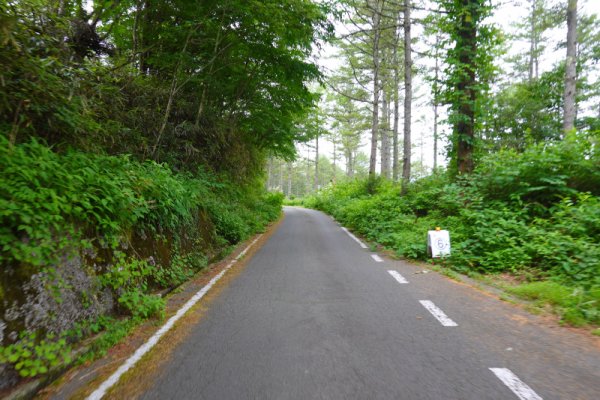 鳴沢林道(10)：1538m