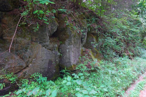 鳴沢林道(12)：1546m