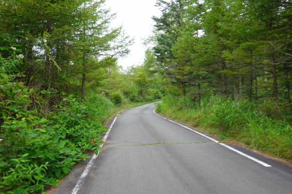 鳴沢林道(13)：1569m