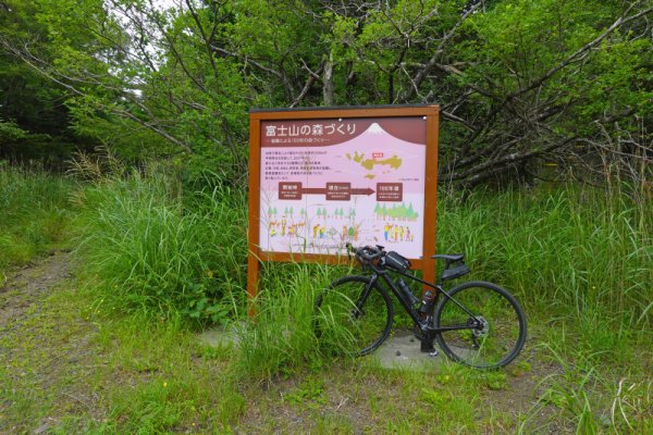 鳴沢林道(14)：1645m