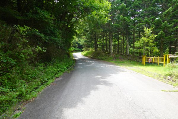 鳴沢林道(16)：1689m