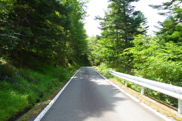 鳴沢林道(19)：1728m