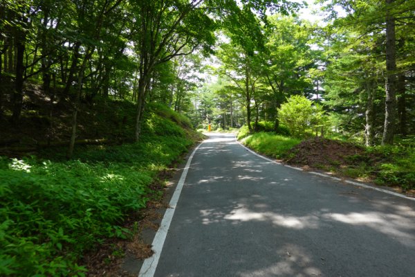 鳴沢林道(20)：1756m