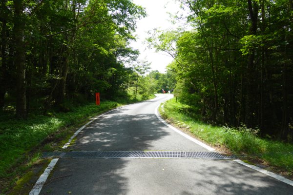 鳴沢林道(21)：1767m