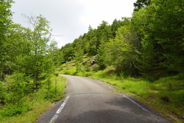 鳴沢林道(23)：1841m
