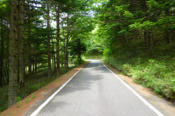 鳴沢林道(27)：1656m