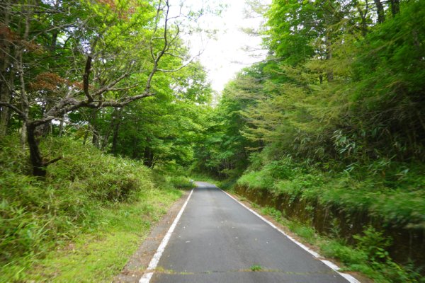 鳴沢林道(28)：1649m
