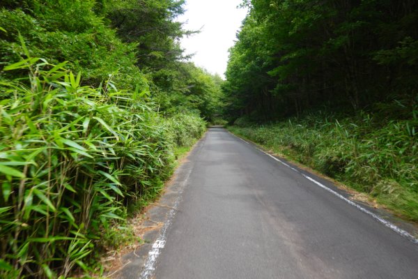 鳴沢林道(29)：1622m