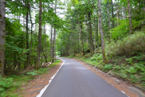 船津林道(3)：1456m