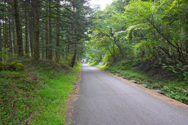 船津林道(4)：1355m