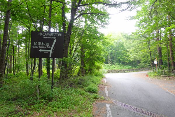 船津林道(6)：分岐点：1275m