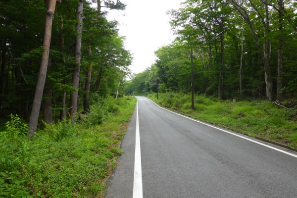 船津林道(7)：1230m