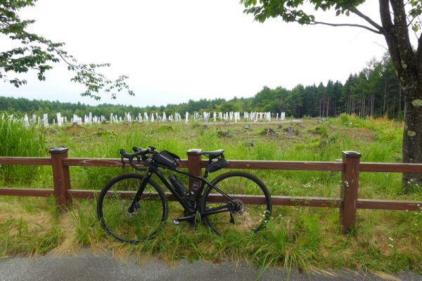 全国植樹祭記念広場