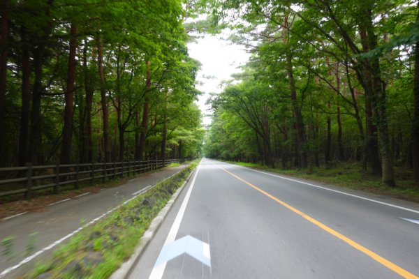 花の都公園への登り