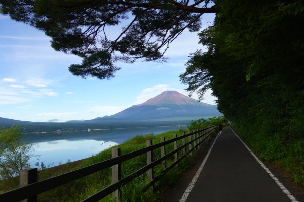 富士山を見て走る