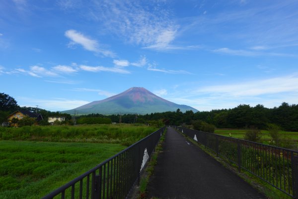 桂川沿いのサイクリングロード
