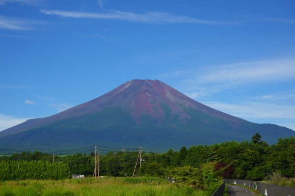 桂川沿いの道