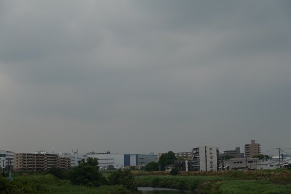 鴨池大橋手前：富士山ポイント