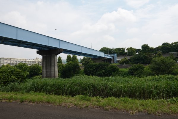 20kmポイント