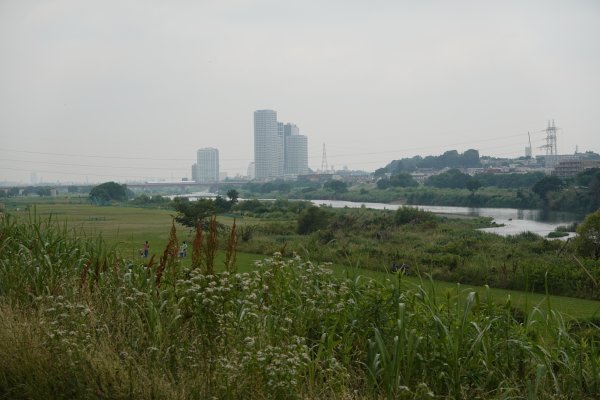 35kmポイント