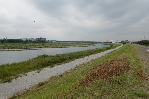 50kmポイント