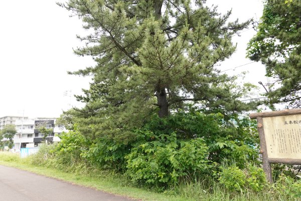 60kmポイント