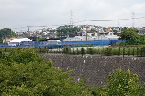 5kmポイント
