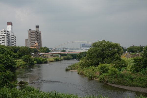 15kmポイント：富士山ポイント