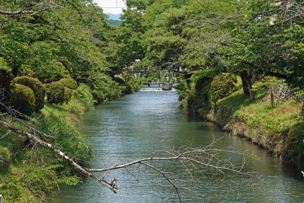 玉川上水(2)