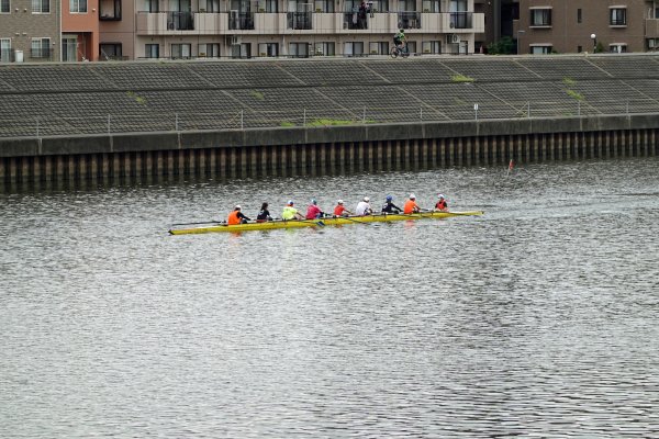 レガッタの練習