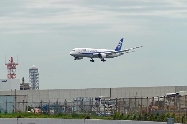 羽田空港(11)：多摩川河口(左岸)