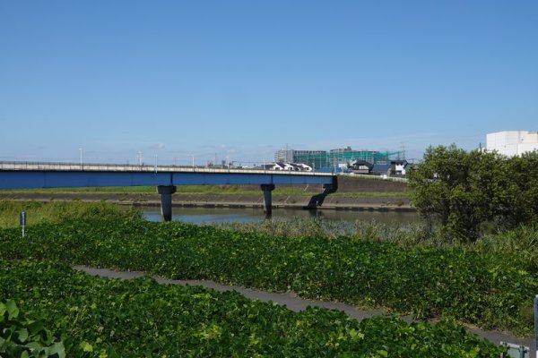 人：鷹野人道橋