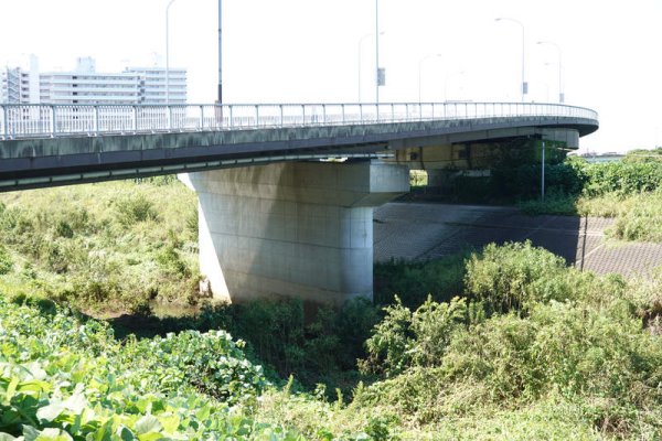 参：ワールドカップ大橋