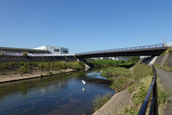 道：川和北八朔橋