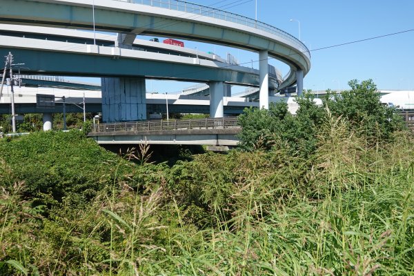 人：学校橋・学校橋人道橋