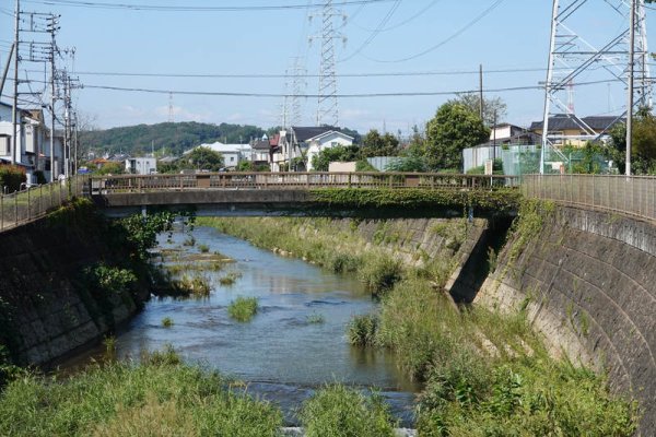道：八坂橋