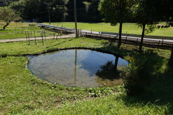 鶴見川源流の泉