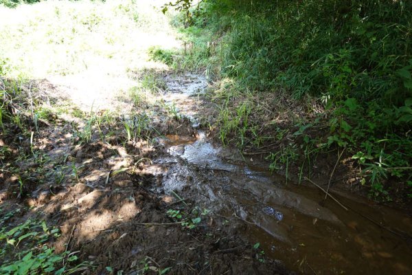 鶴見川の最上流