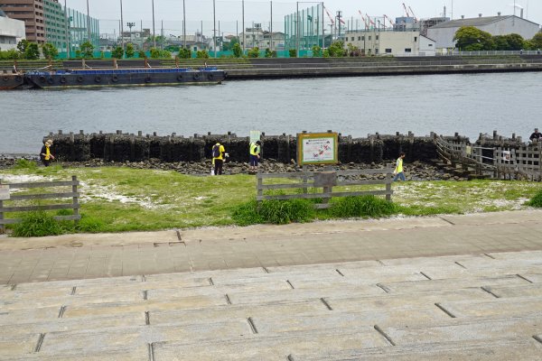 他：鶴見川河口干潟
