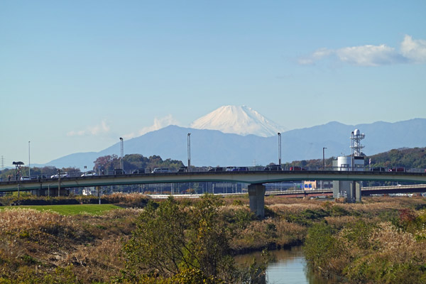 横浜アリーナ近くの土手(2)