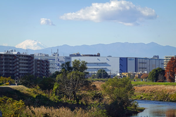 鴨池大橋の所